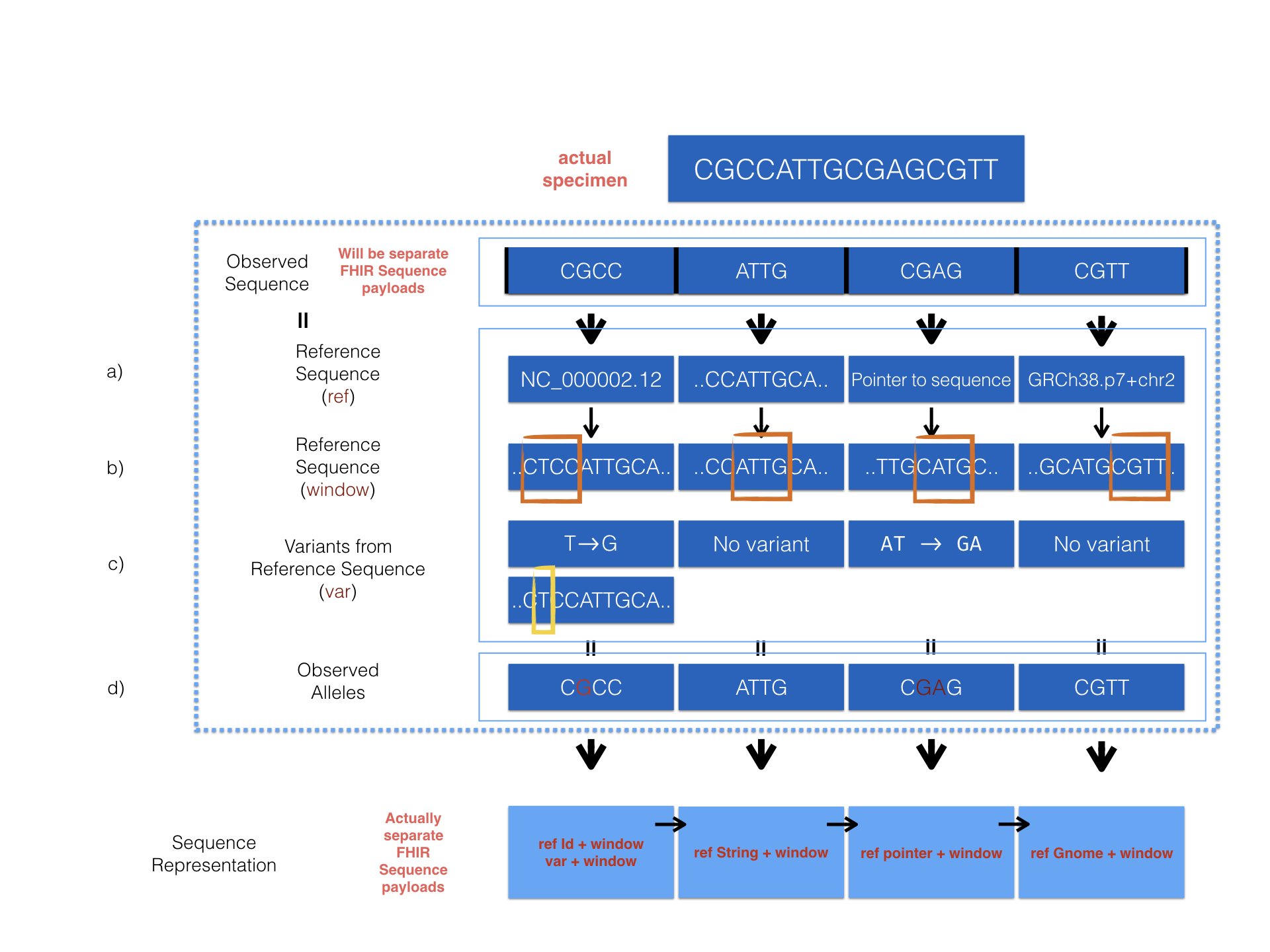 MolecularSequence Graph