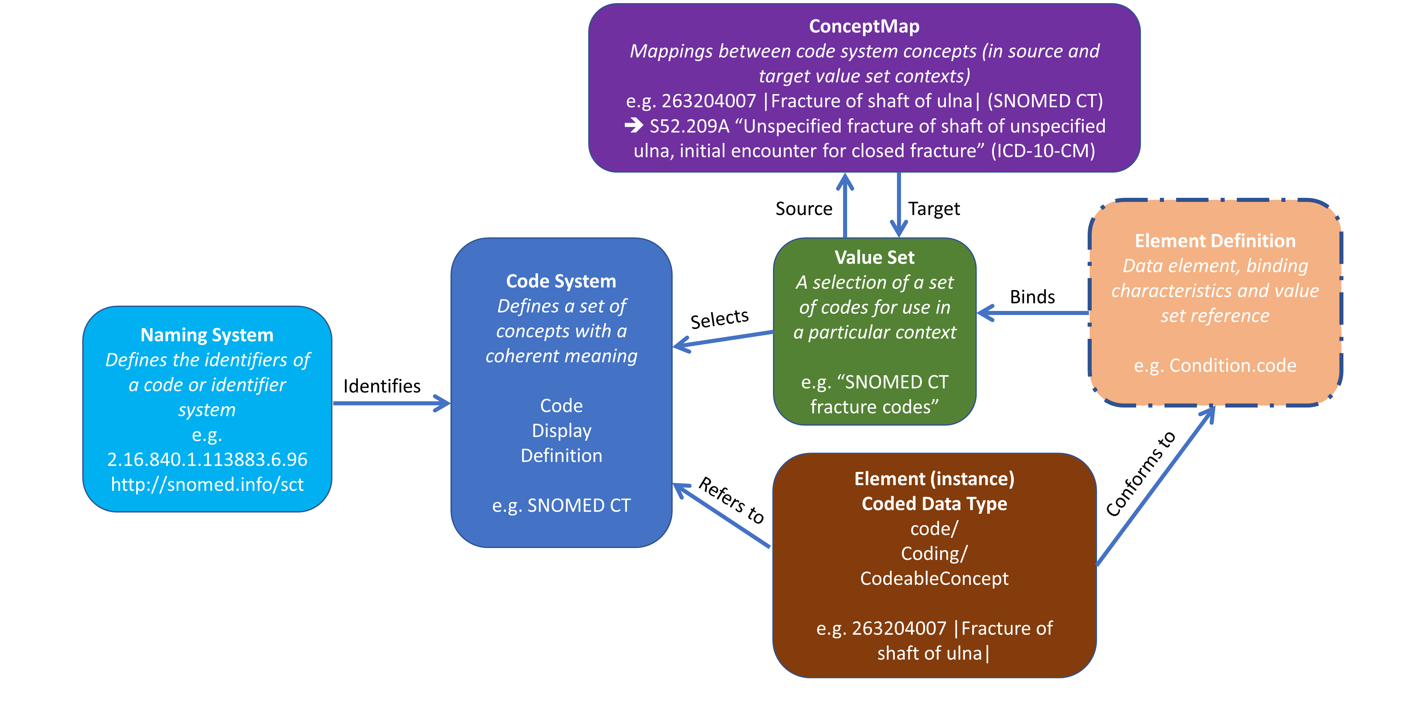 Image showing the terminology resources and relationships