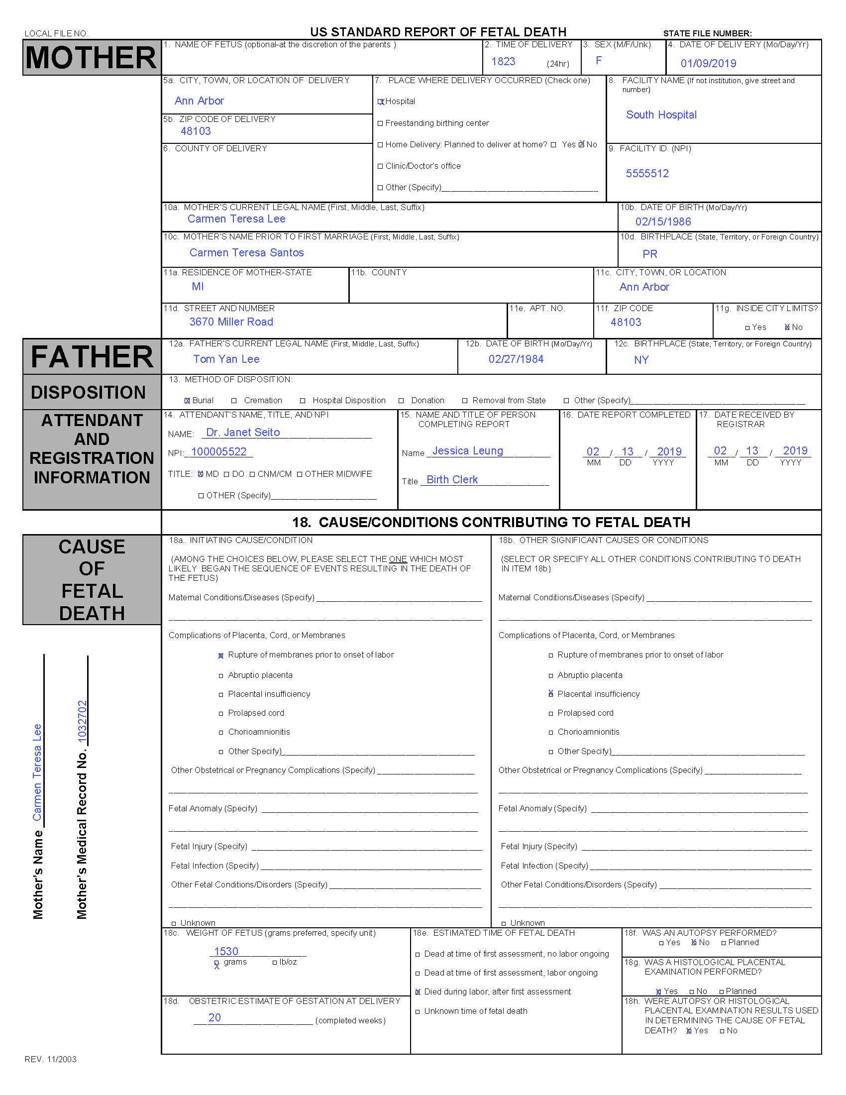 Example Death Report - p1