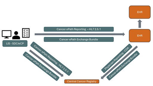 CancerPath.jpg