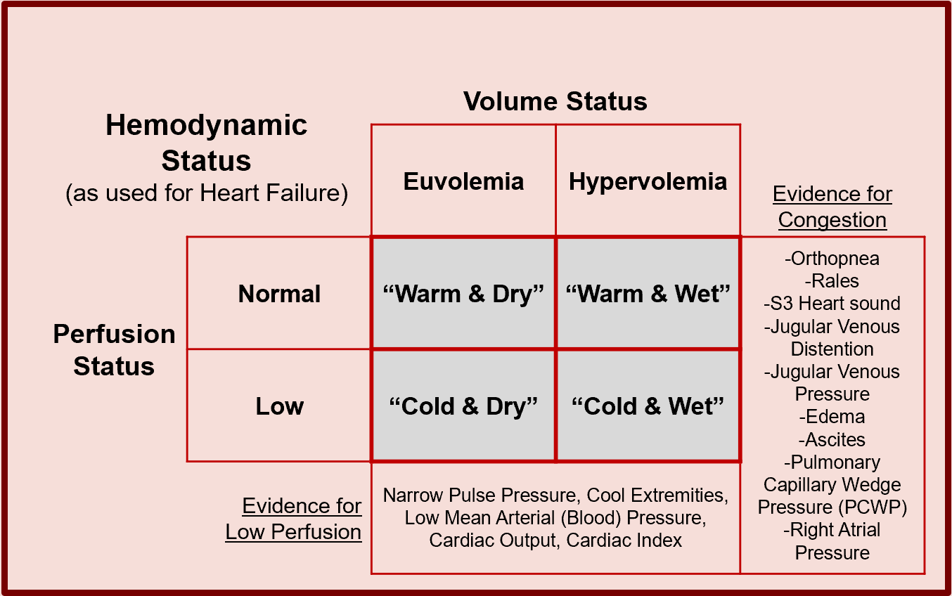 Hemodynamic Status