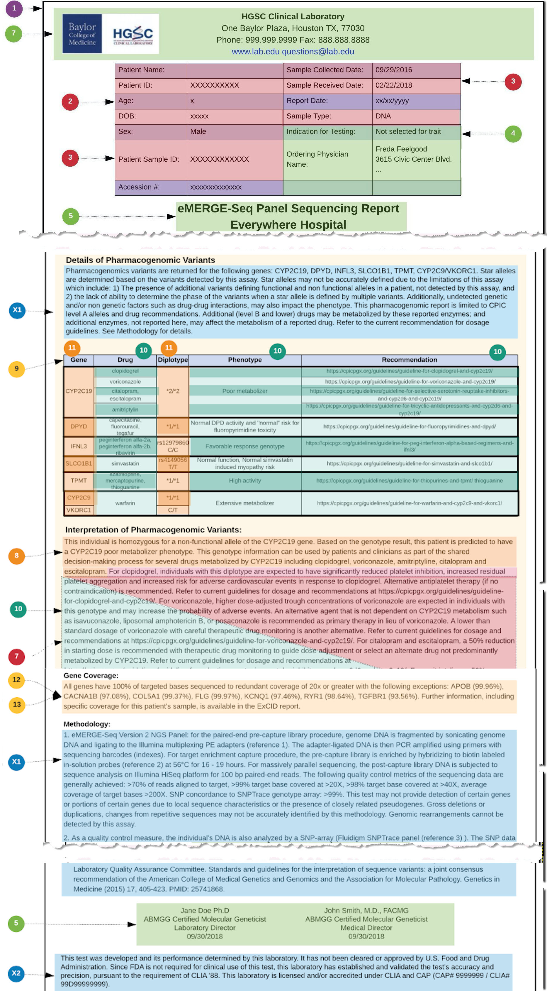 pgx-guidance-figure-3.jpg