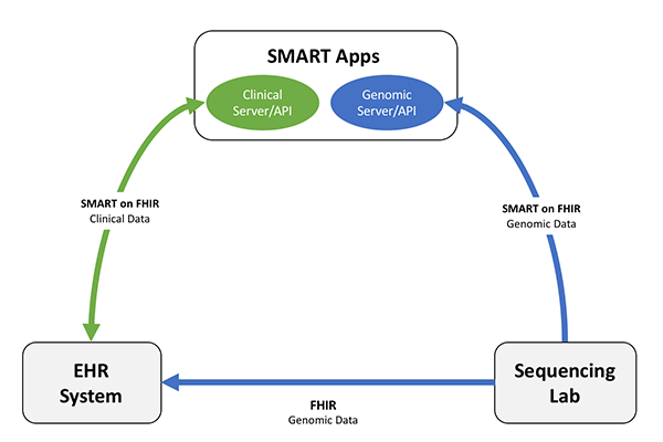 image showing common structure of CG apps