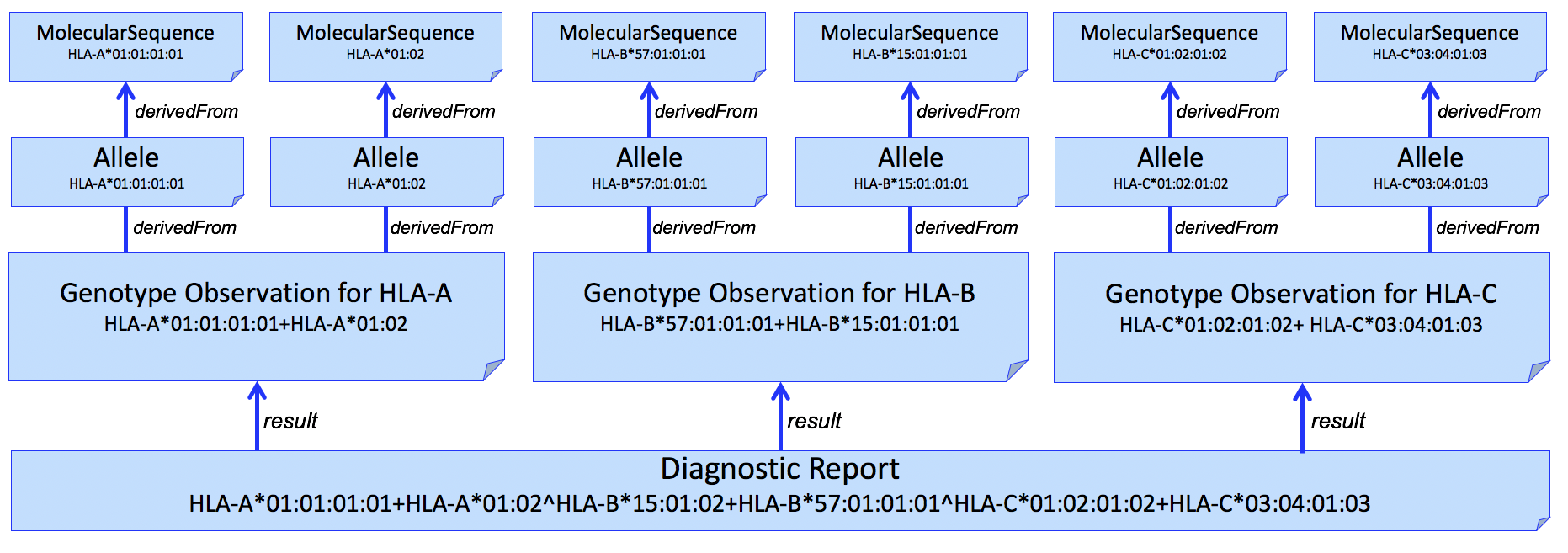 Genetic test report for HLA-A, -B, and -C genotyping, with molecular sequence data used to derive each genotype.