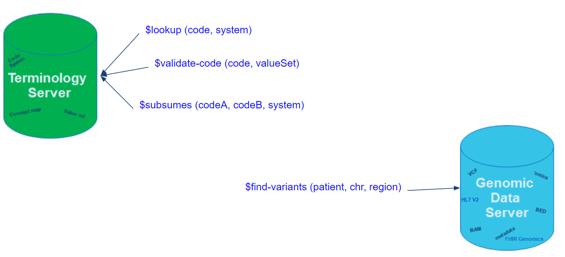 Illustration of genomic operations