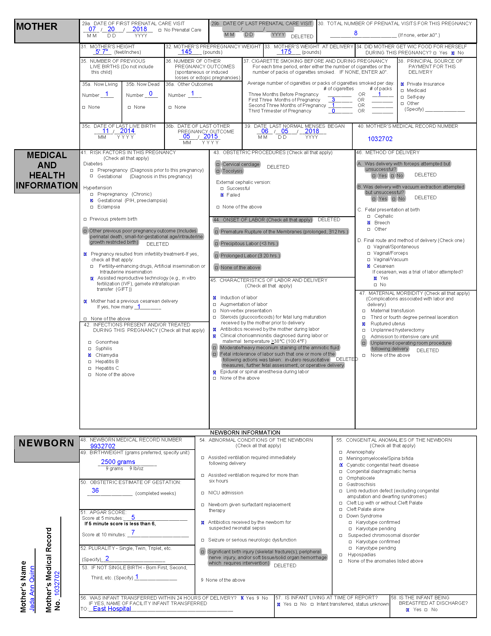 Example Birth Certficate for Baby G Quinn - p2