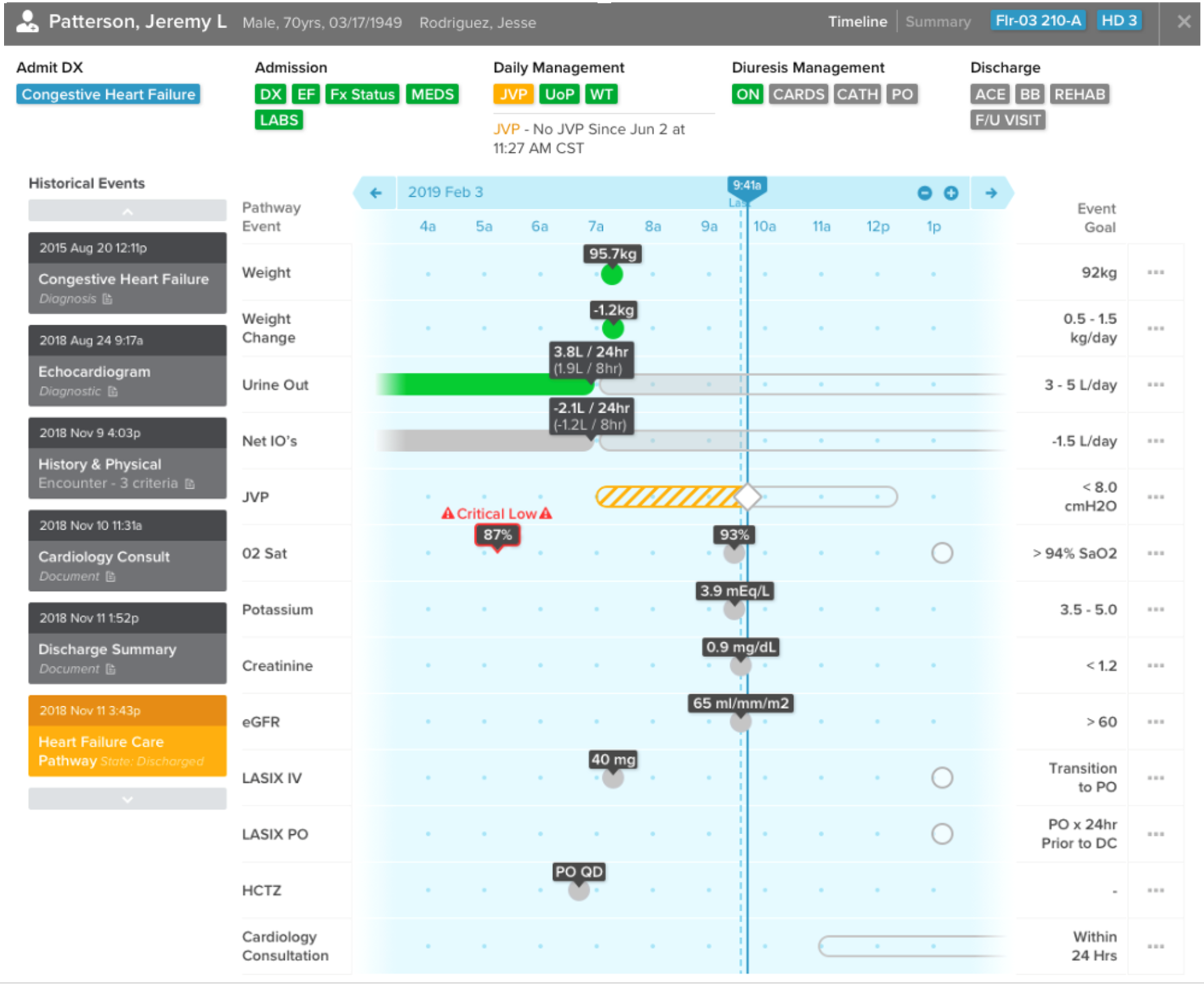 CHF Case Plan Summary View